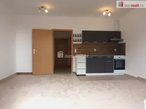 Pronájem bytu 1+kk, Karlovy Vary - Stará Role, Kryzánkova, 35 m2
