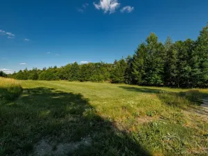 Prodej pozemku pro bydlení, Dírná, 1119 m2