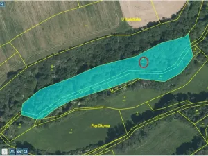 Prodej lesa, Spálené Poříčí - Záluží, 9268 m2