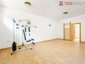 Pronájem vily, Jesenice, Vilová, 420 m2