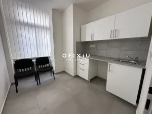Pronájem obchodního prostoru, Brno, Sukova, 233 m2
