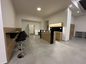 Pronájem obchodního prostoru, Brno, Sukova, 233 m2