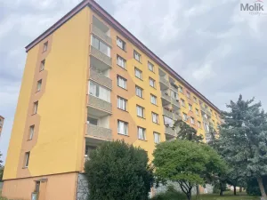 Prodej bytu 3+1, Chomutov, Pod Břízami, 60 m2