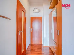 Prodej bytu 2+kk, Plzeň - Východní Předměstí, Guldenerova, 39 m2