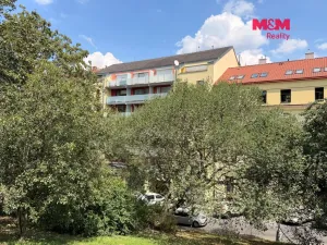 Prodej bytu 2+kk, Praha - Nusle, Lumírova, 70 m2