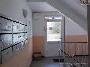 Prodej bytu 3+kk, Teplice - Trnovany, Hlávkova, 54 m2