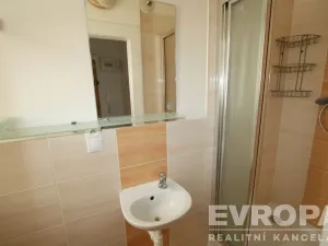 Pronájem bytu 1+1, Praha - Žižkov, Biskupcova, 33 m2