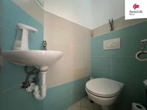 Pronájem bytu 2+1, Rebešovice, Horky, 55 m2