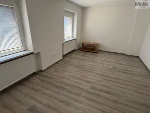 Pronájem rodinného domu, Most, S. K. Neumanna, 100 m2