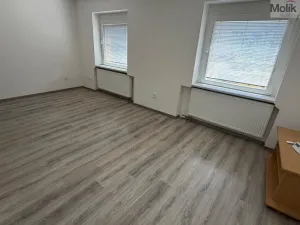 Pronájem rodinného domu, Most, S. K. Neumanna, 100 m2