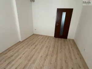 Pronájem rodinného domu, Most, S. K. Neumanna, 100 m2