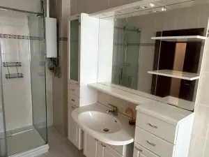 Pronájem rodinného domu, Most, S. K. Neumanna, 100 m2