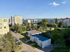 Prodej bytu 1+1, Mladá Boleslav - Mladá Boleslav II, Havlíčkova, 43 m2