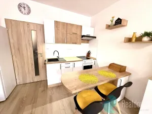 Pronájem bytu 1+kk, České Budějovice, M. Chlajna, 31 m2