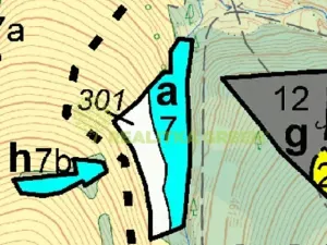 Prodej lesa, Leskovec, 5162 m2