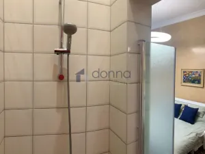 Pronájem bytu 1+1, Praha, Hálkova, 33 m2