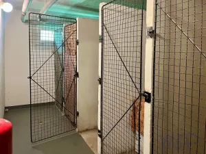 Pronájem bytu 2+1, Jihlava, Březinova, 56 m2
