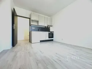 Pronájem bytu 1+kk, Praha - Libeň, V zahradách, 25 m2