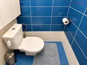 Prodej bytu 3+1, Olomouc - Holice, U cukrovaru, 76 m2