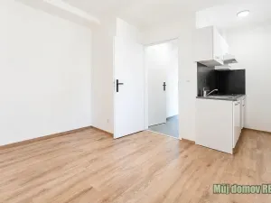 Pronájem bytu 1+kk, Praha - Břevnov, Na břevnovské pláni, 17 m2