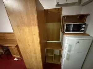 Pronájem bytu 1+kk, Praha - Braník, Na vinohradu, 22 m2