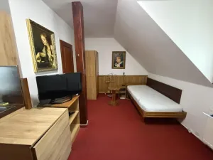 Pronájem bytu 1+kk, Praha - Braník, Na vinohradu, 22 m2
