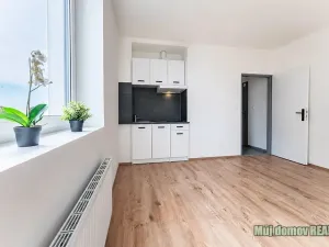 Pronájem bytu 1+kk, Praha - Břevnov, Na břevnovské pláni, 22 m2