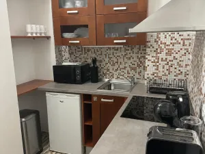 Pronájem bytu 2+1, Karlovy Vary, Libušina, 47 m2