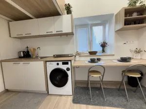 Pronájem bytu 1+kk, Opava - Předměstí, Alšova, 15 m2