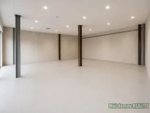 Pronájem obchodního prostoru, Praha - Strašnice, V olšinách, 154 m2