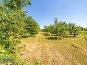 Prodej rodinného domu, Babice, 249 m2
