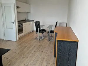 Pronájem bytu 1+kk, Brno, 47 m2