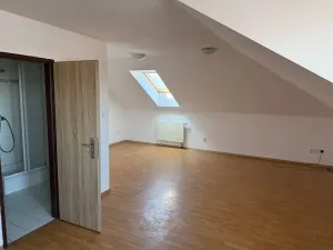 Pronájem bytu 1+kk, České Budějovice, Skuherského, 42 m2