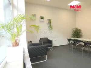 Pronájem obchodního prostoru, Ostrava - Mariánské Hory, 28. října, 40 m2