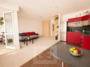Pronájem bytu 1+kk, Brno, Hvozdecká, 40 m2