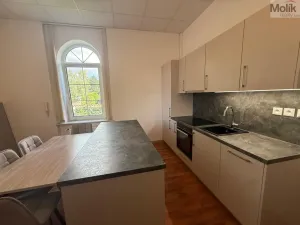 Pronájem bytu 3+1, Most - Čepirohy, Sadová, 150 m2