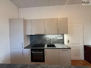 Pronájem bytu 3+1, Most - Čepirohy, Sadová, 150 m2