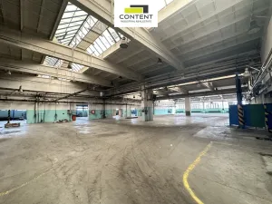 Pronájem výrobních prostor, Příbram - Příbram I, Obecnická, 1000 m2