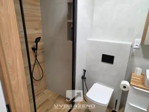 Prodej bytu 2+kk, Karviná, Březová, 52 m2