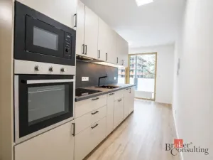Pronájem bytu 1+kk, Plzeň - Východní Předměstí, Zahradní, 31 m2