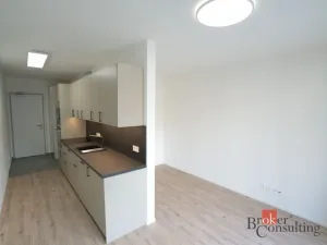 Pronájem bytu 1+kk, Plzeň - Východní Předměstí, Zahradní, 31 m2