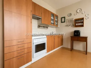Prodej bytu 2+kk, České Budějovice - České Budějovice 2, Jizerská, 48 m2