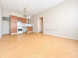 Prodej bytu 2+kk, České Budějovice - České Budějovice 2, Jizerská, 48 m2