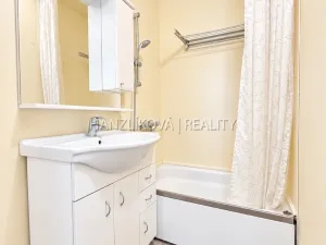 Prodej bytu 2+kk, České Budějovice - České Budějovice 2, Jizerská, 48 m2