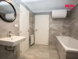 Prodej rodinného domu, Veselí nad Lužnicí - Veselí nad Lužnicí I, Podskalí, 190 m2