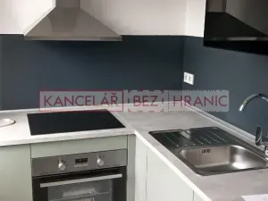 Pronájem bytu 1+1, Ostrava, U Haldy, 40 m2
