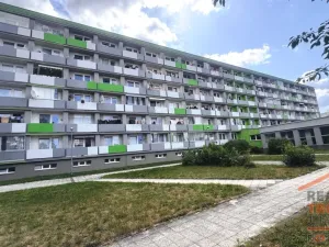 Pronájem bytu 1+kk, Hradec Králové, Brožíkova, 30 m2