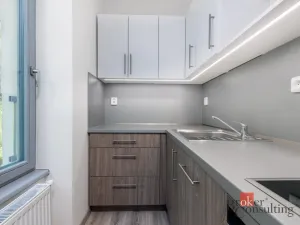 Pronájem bytu 1+kk, Chrudim - Chrudim II, Podkopanický mlýn, 32 m2