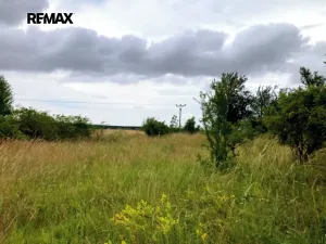 Prodej pozemku, Číčovice, 5606 m2