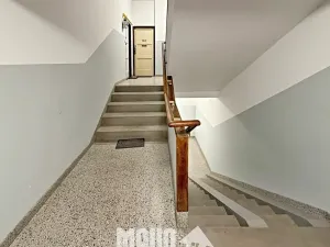 Pronájem bytu 1+kk, Praha - Krč, U nových domů III, 31 m2
